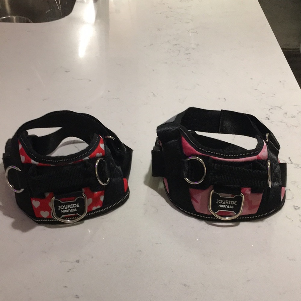 Joyride Dog Harness
